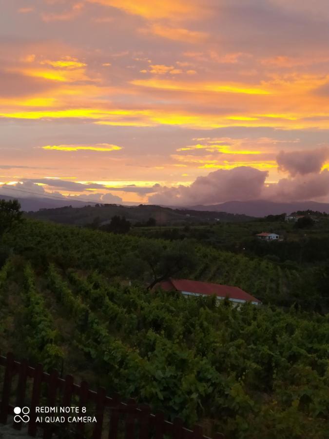 Casa Das Vinhas Velhas By Casa Do Poco Peso da Regua Bagian luar foto